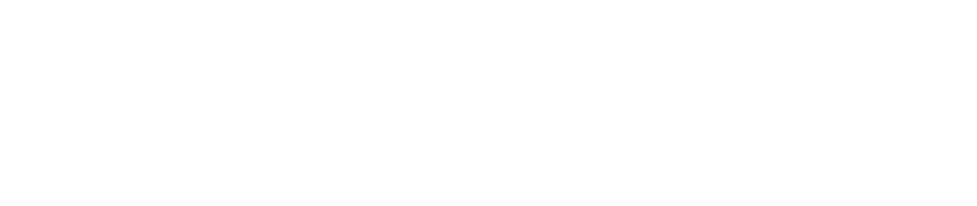 Saip Service